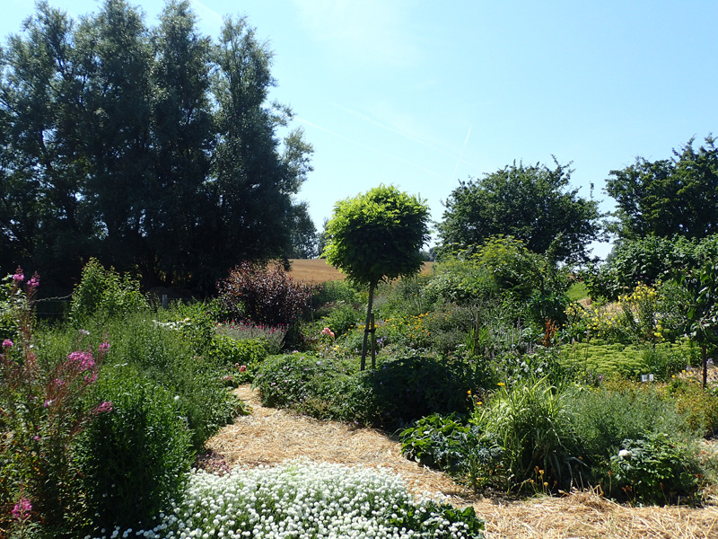 WHAT IS A FOREST GARDEN